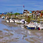 Les Coquilles Лантон